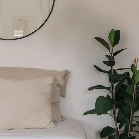 Terra Nova Apartamento